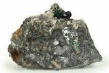 Malachite, Deep Blue Azurite, and Cerussite Crystals on Galena #274898-1